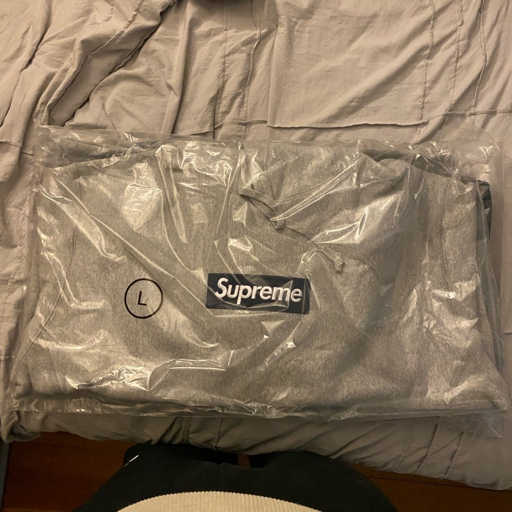 Supreme FW25 Hooded Sweatshirt Size L